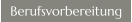 Berufsvorbereitung