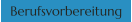 Berufsvorbereitung