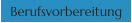 Berufsvorbereitung