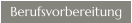 Berufsvorbereitung