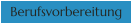 Berufsvorbereitung