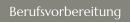 Berufsvorbereitung