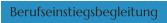 Berufseinstiegsbegleitung