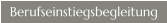 Berufseinstiegsbegleitung