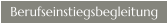 Berufseinstiegsbegleitung