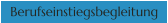 Berufseinstiegsbegleitung