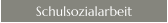 Schulsozialarbeit