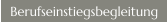 Berufseinstiegsbegleitung