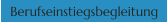 Berufseinstiegsbegleitung