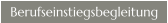 Berufseinstiegsbegleitung