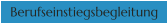 Berufseinstiegsbegleitung