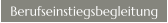 Berufseinstiegsbegleitung
