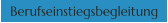 Berufseinstiegsbegleitung