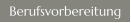 Berufsvorbereitung